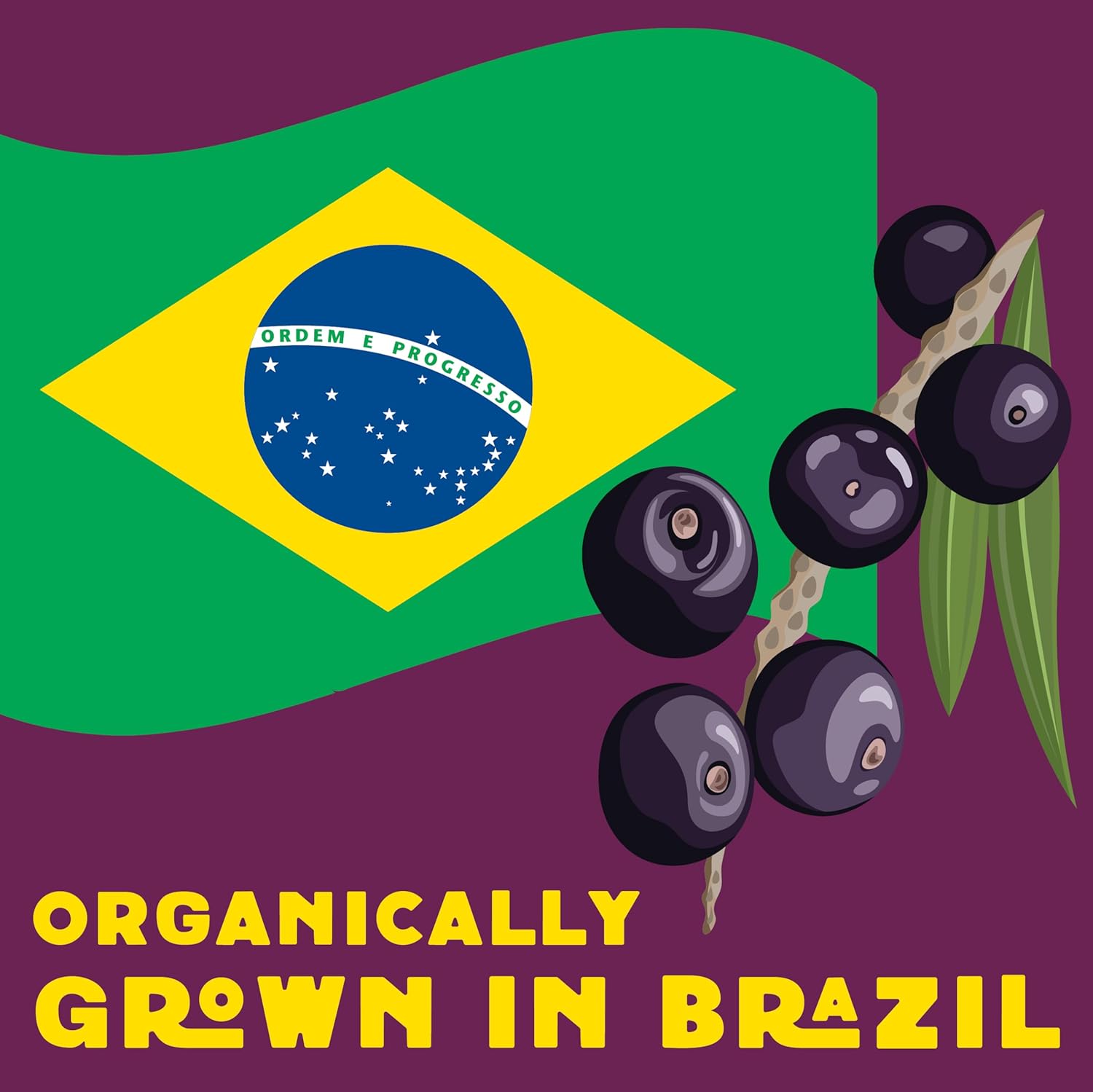Wilderness Poets, Organic Freeze Dried Acai Powder (16 Ounce - 1 LB)