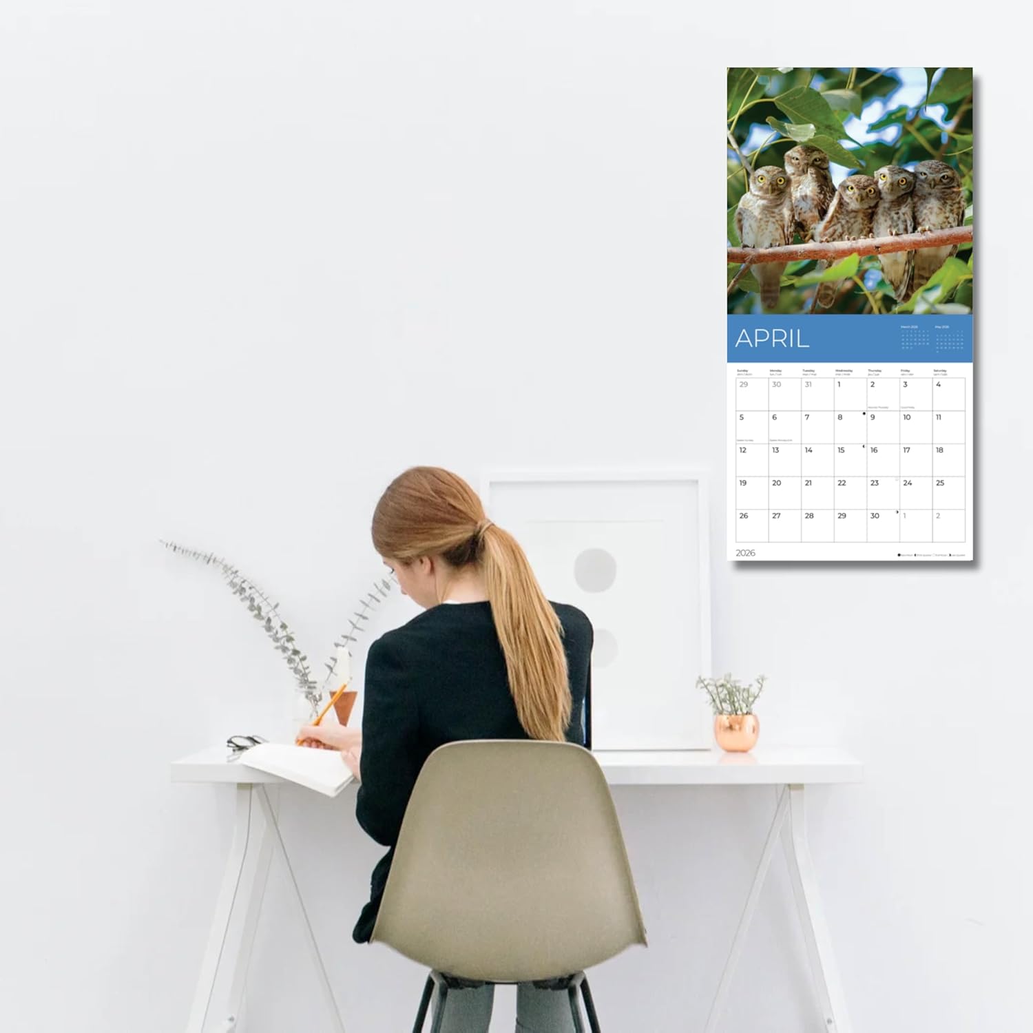 Owls Wall Calendar 2026 | Bird Calendar | 12" x 24" Open | Giftable Nature Calendar 2026 | Thick & Sturdy Paper for Organizing & Planning | Pacific Waters Press (Owls)