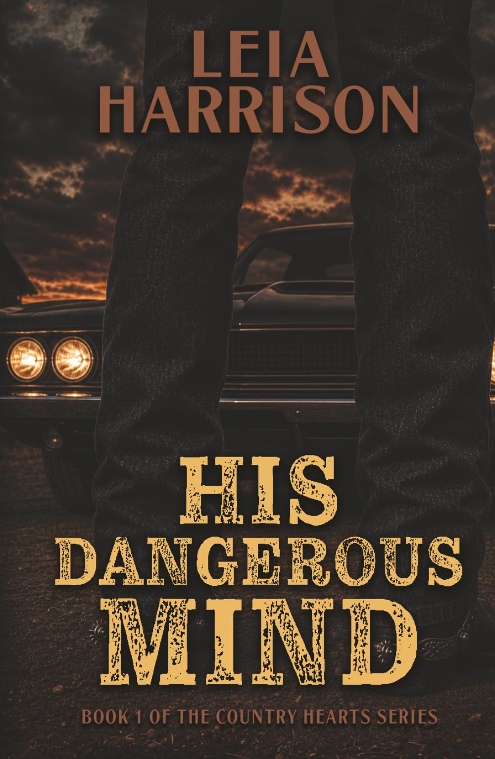 His Dangerous Mind (Country Hearts)