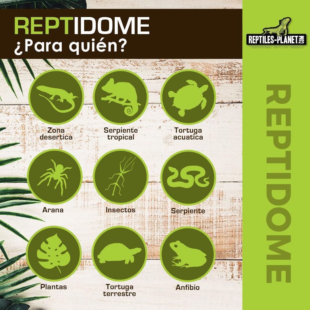 Reptiles Planet - Reptidome 14 - Soporte de Bombilla para Colgar o Colocar en el terrario, diámetro 14 cm, Altura 18,2 cm