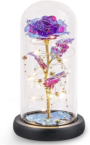ICFPWR Regalos para el día de San Valentín para ella, rosas iluminadas con cadena de luz LED y cuentas doradas en cúpula de cristal para mujeres,