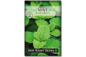 Sow Right Seeds® Mint Seeds - NON-GMO Spearmint, Heirloom Seeds, Grow a...