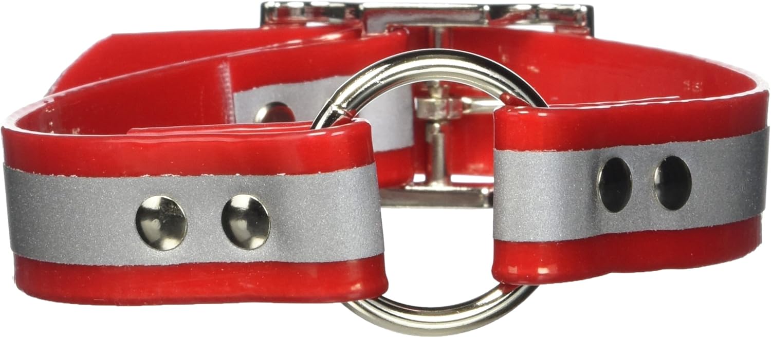 SunGlo Reflective Ring-in-Center Dog Collar, 1" Wide, Red, Fits 12"- 15.5" Neck Sizes, Highly Reflective & Tough Construction for Active Dogs