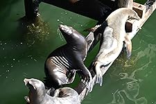 Review Image by Vishwak Vishwak