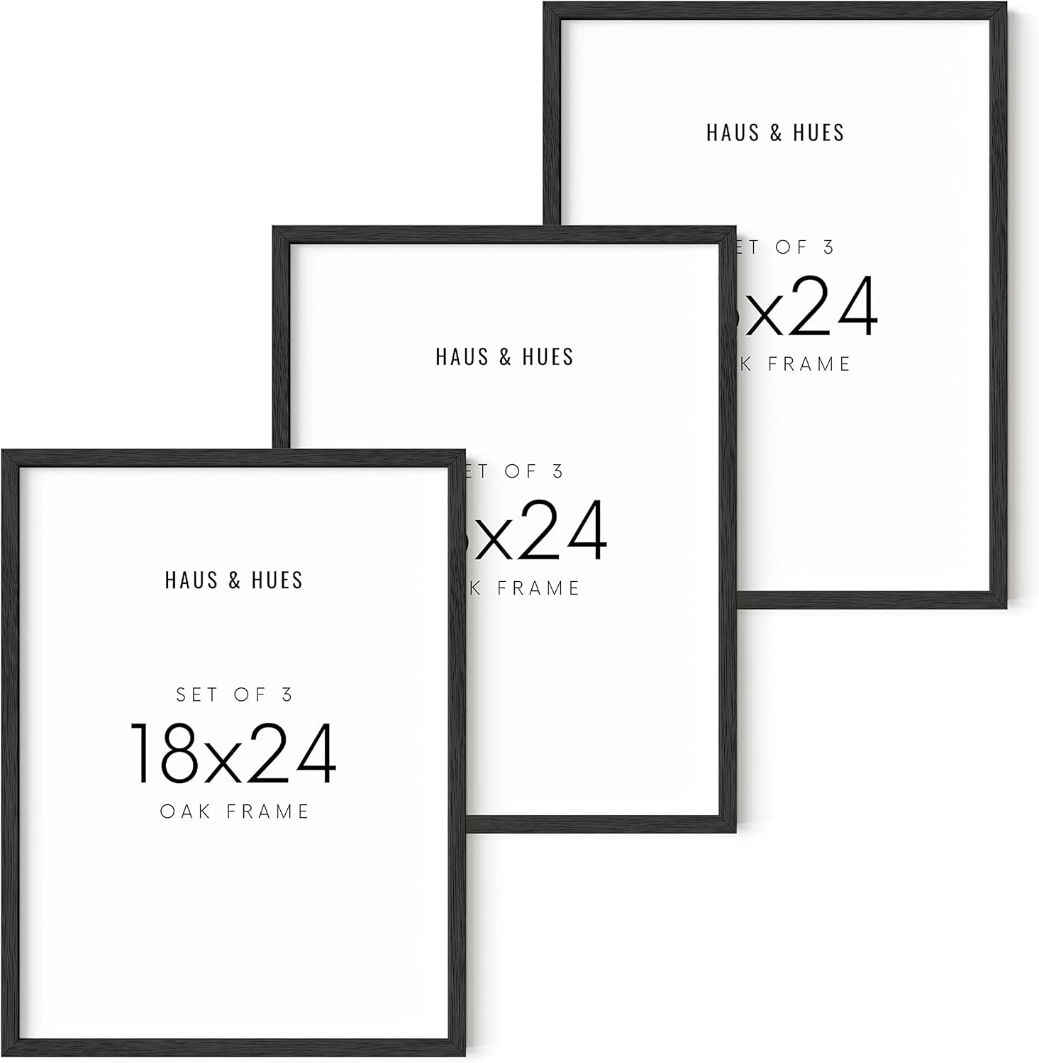 HAUS AND HUES Frames 18 x 24 Set of 3, Poster Frames 18