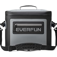 EVERFUN Soft Cooler 30 Can, Portable 24qt Insulated Small Cooling Lunch Box for Men and Women, Leakproof Ice Chest Bag for Travel, Beach, Camping, Boating, Fishing, Tailgating, Work and Picnic