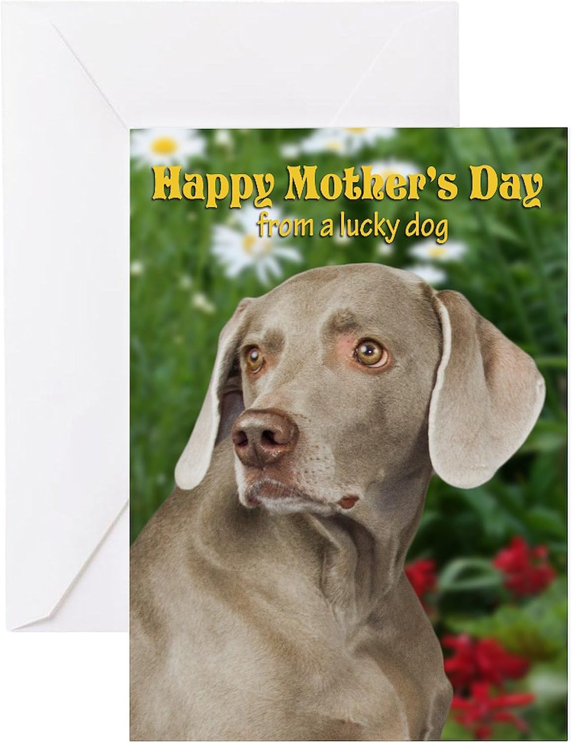CafePress Weimaraner Mother's Day Card Folded Greeting Card Matte
