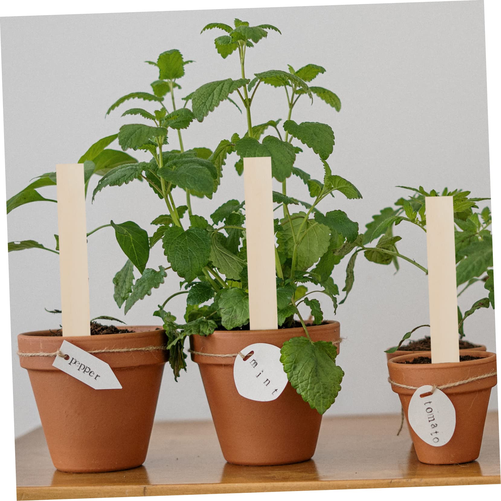 Yardwe Lot De 50 Étiquettes En Bois Réutilisables Pour Plantes Et Jardins Extérieurs
