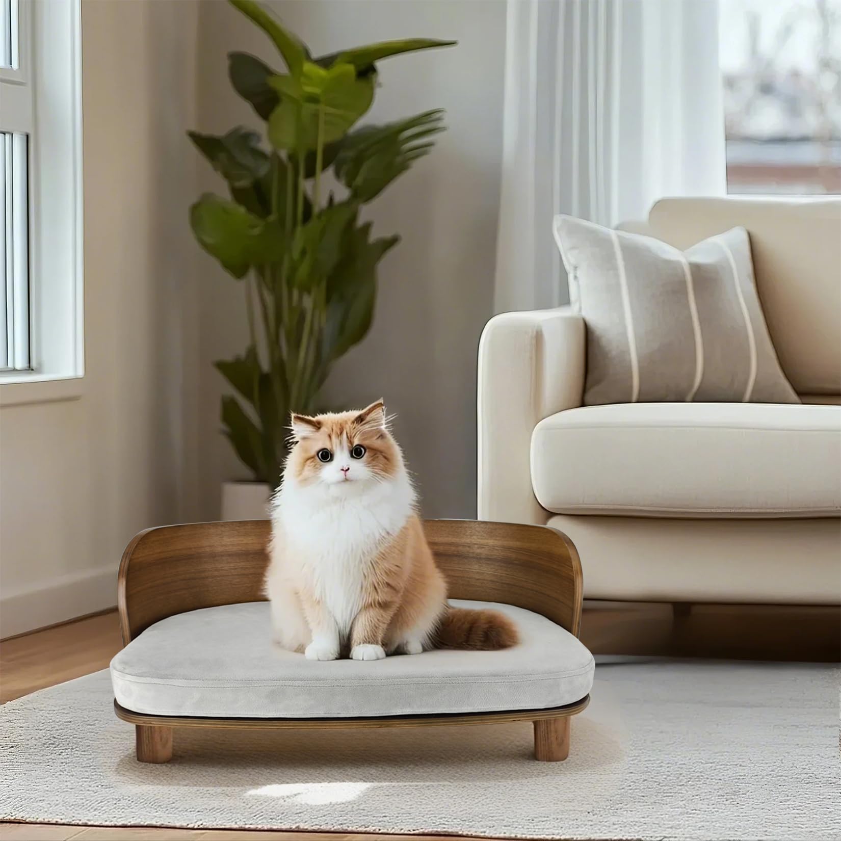 سرير من الخشب الصلب للحيوانات الأليفة من ويسفور: أريكة مرتفعة للقطط بمسند منحني، أريكة مرتفعة مع بساط ناعم قابل للإزالة وغطاء قابل للغسل، سرير خشب صلب أنيق للحيوانات الأليفة للكلاب والقطط الصغيرة