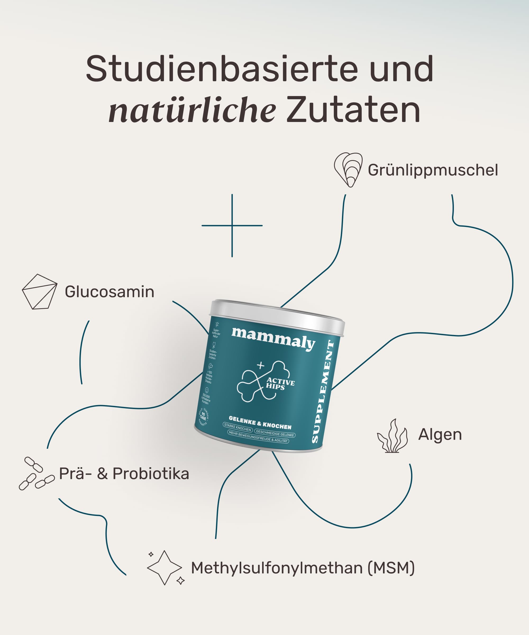 11-in-1 Grünlippmuschel Hund Gelenktabletten - Active Hips 110 Leckerli (325g) von mammaly - Gelenk- & Knochenschutz für Hunde - Praktische Alternative zu Kapseln & Grünlippmuschelpulver für Senior