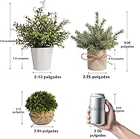 Vista 3 de Paquete de 4 plantas artificiales pequeñas, plantas artificiales de interior para decoración del hogar, pequeñas plantas de imitación