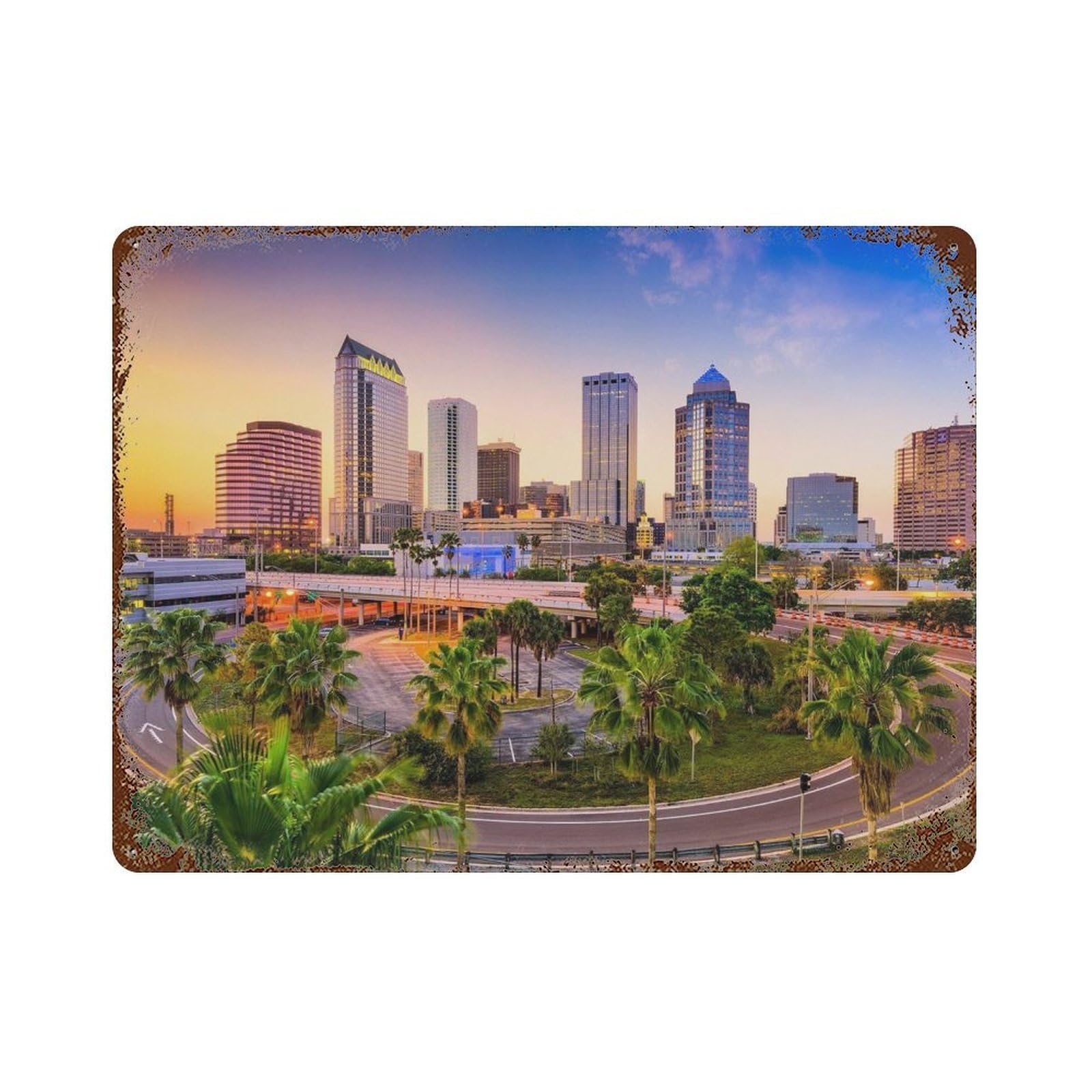 xiaoxiaoshen Real Photo Tampa Decor Florida USA Wall Decor Art Metal Tin Poster Modern Home Decor Art Home Bar Shop Decorations Vintage Sign 30x40cm
