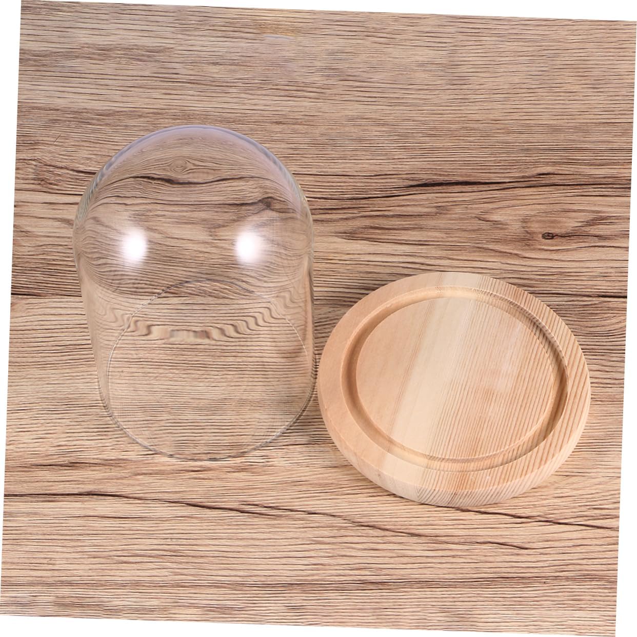 Eternal Flower Glass Dome Display Case Lid Ideal Present for Girlfriend's Birthday image 4