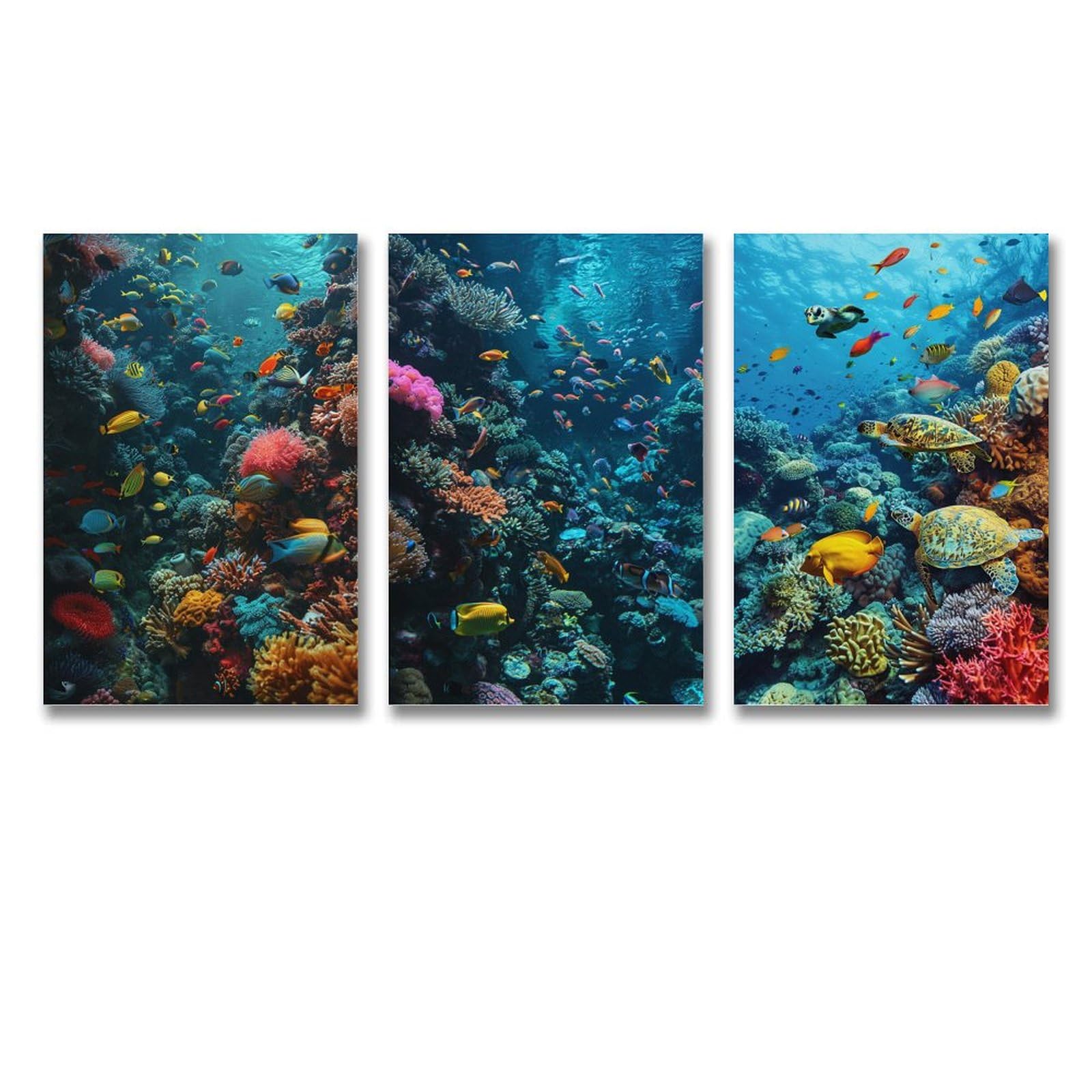 Amazon.co.jp: 3枚 水中世界のサンゴと魚たち 絵画 インテリア 