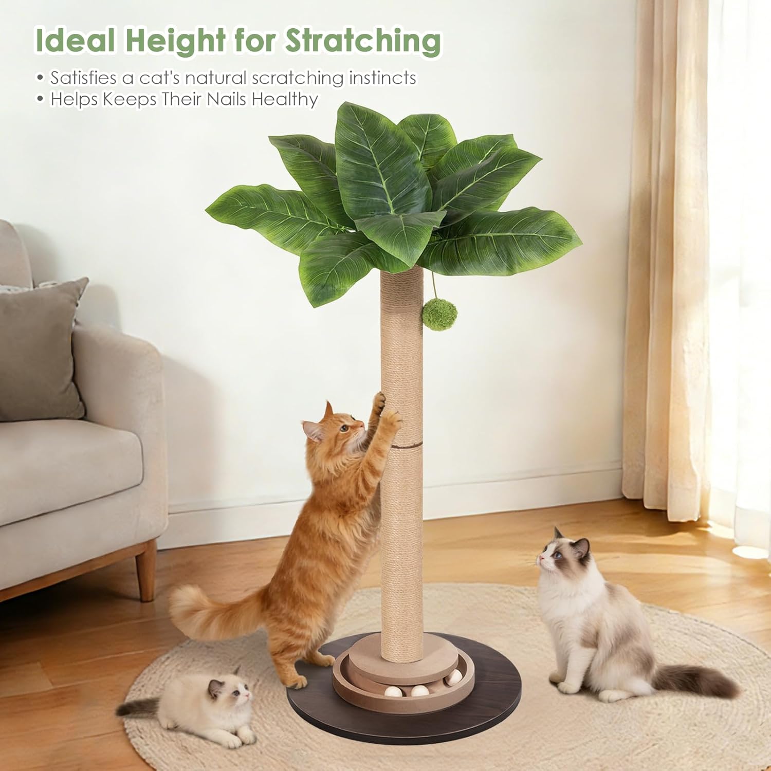 41.5" Tall Cat Scratching Post, Canna Leaf Cat Scratcher with Sisal Rope & Interactive Toys for Indoor Cats