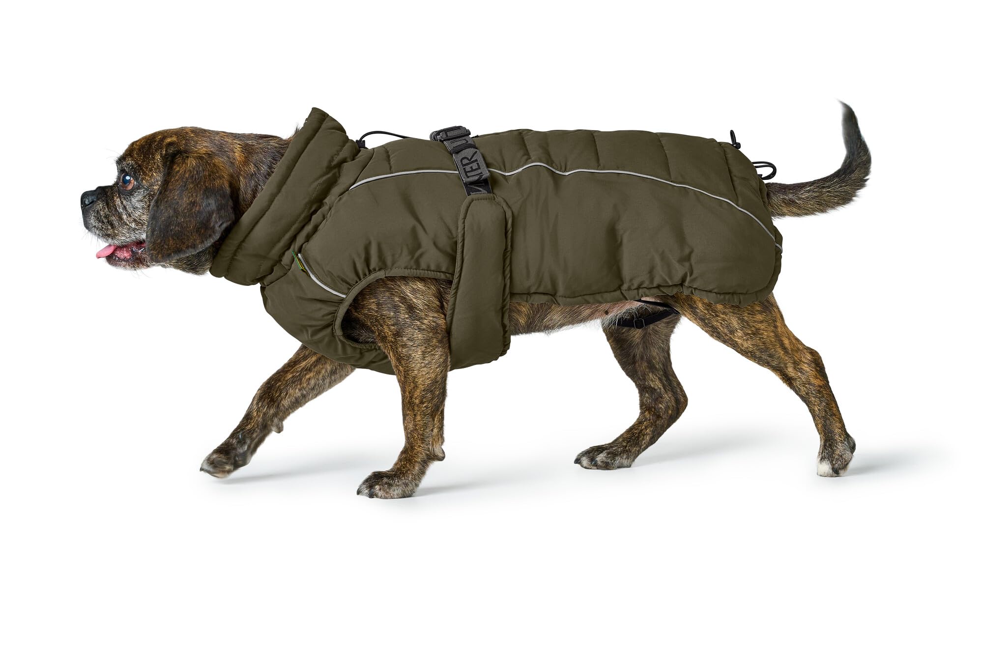 HUNTER Hundemantel Paxson Mops & Co., Farbe: Oliv, stylischer Puffermantel, wasserabweisend, reflektierende Details, optimaler Sitz für kompakte Hunde, maschinenwaschbar, Größe: 40