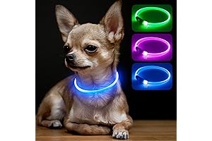 BSEEN Light Up Dog Collar - Rechargeable LED Collars for Small Medium and Large Dogs