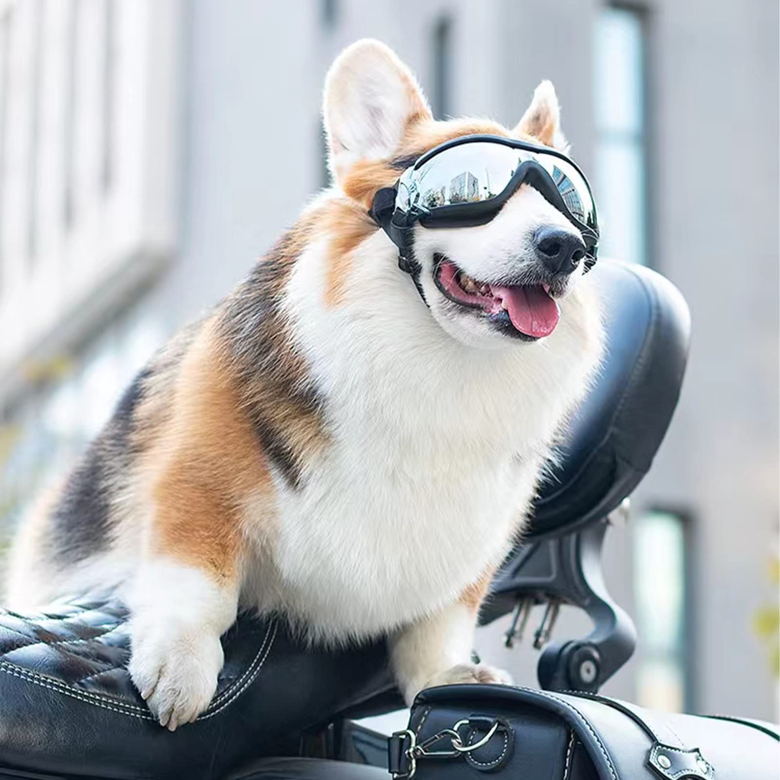 Occhiali per cani, occhiali da sole per cani con cinturino elastico, occhiali UV per animali domestici, proteggono gli occhi del cane da raggi UV, vento, polvere nebbia, razza media/grande