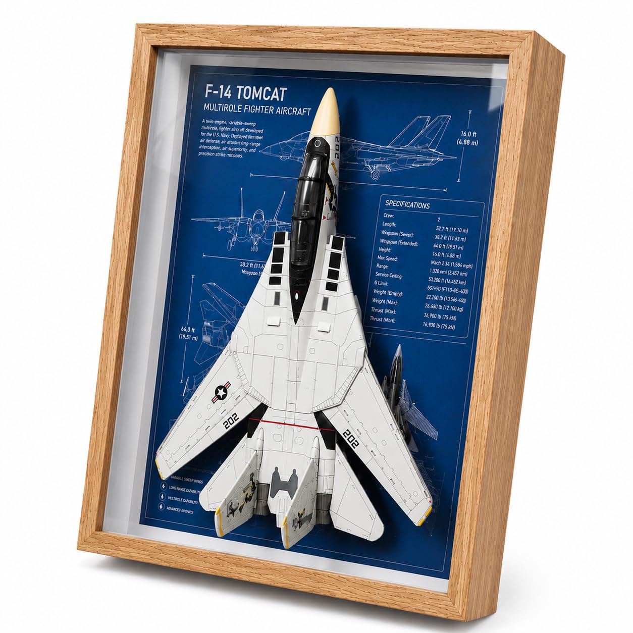 Décoration bureau aviation F-14 Tomcat plan technique en cadre - 8