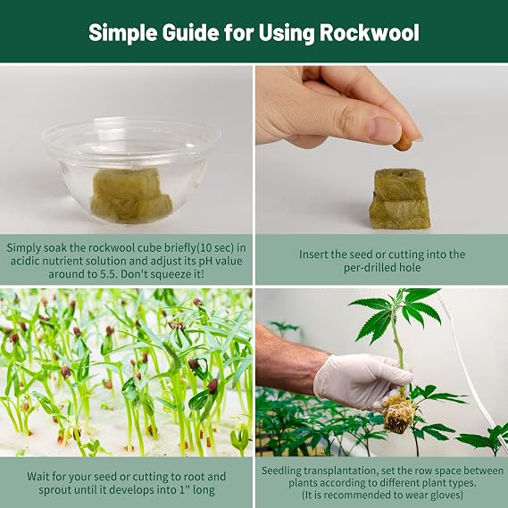 1 Rockwool Cubes for Hydroponics - (200 Plugs in Total) 4 Sheets Rockwool Grow Cubes for Rooting, Cuttings, Clone Plants, Starting Seeds, Ideal Rockwool for Hydroponic Growing