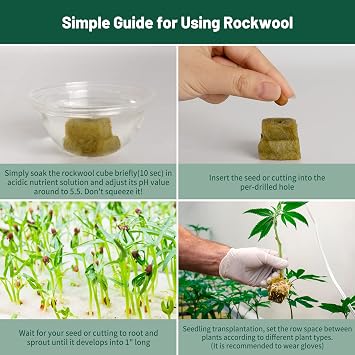 1 Rockwool Cubes for Hydroponics - (200 Plugs in Total) 4 Sheets Rockwool Grow Cubes for Rooting, Cuttings, Clone Plants, Starting Seeds, Ideal Rockwool for Hydroponic Growing