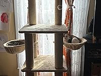 Review Image by Amazon Customer