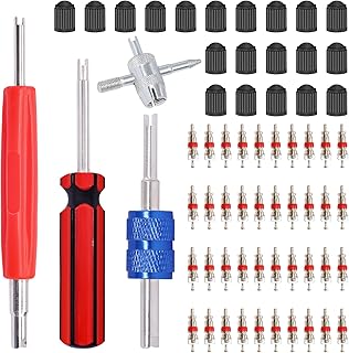 Hmknana 64PCS Tire Valve Stem Removal Tool Kit with 20PCS Valve Stem Caps,40PCS Tire Valve Cores,4-Way Valve Tool,Single and Dual Heads Valve Core Remover Tire Repair Tool