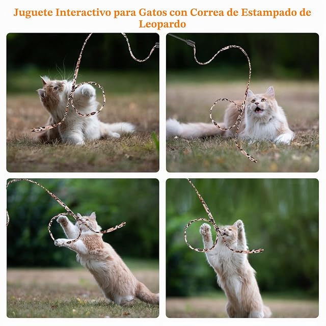 Foto 2 de 7 de cobee Juguetes para varita de gato, juguetes interactivos para gatos