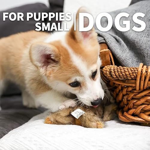 Miniatura 7 de ALL FOR PAWS Juguetes clásicos de conejo marrón para mascotas, pequeño