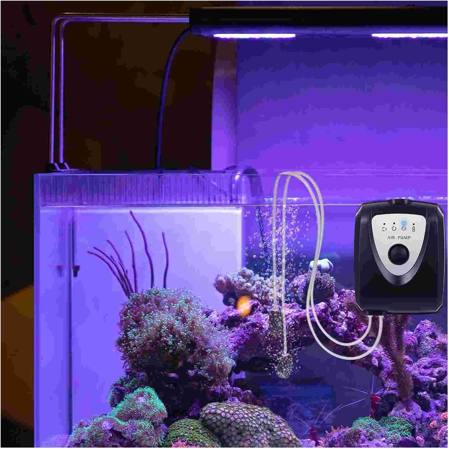 牛乗り天神図」菊川英山 1枚|浮世絵 木版画 江戸時代 天満宮 菅原道真 牛乗り天神図」菊川英山 1枚|浮世絵 木版画 江戸時代 天満宮 菅原道真