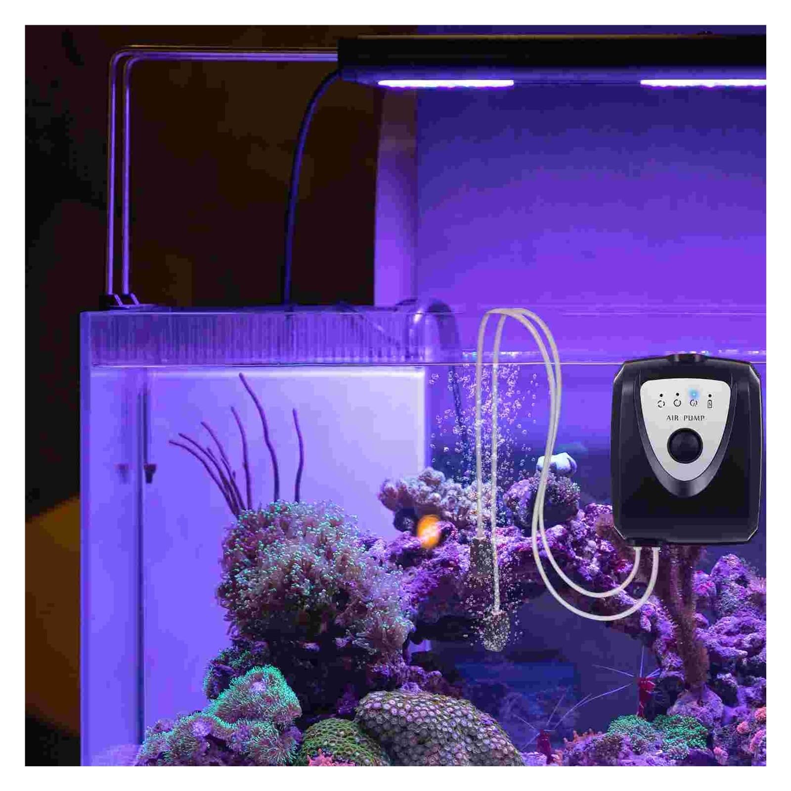 Bomba estanque aireador aire Solar conjunto acuario tanque Kit oxigenador potencia cebo tanques circulación agua jardinería piscina burbuja
