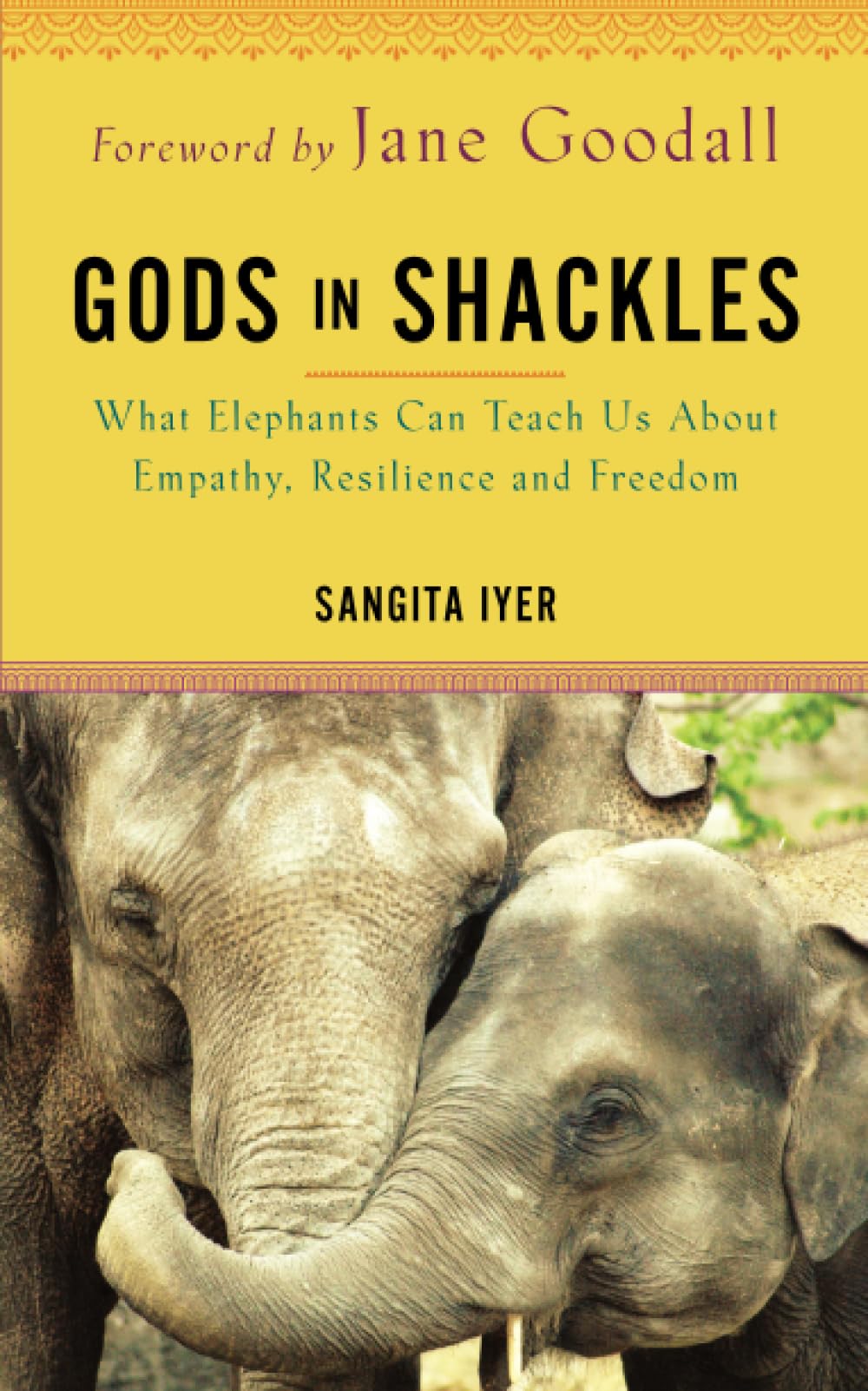 Gods in Shackles: What Elephants Can Teach Us About Empathy, Resilience and Freedom