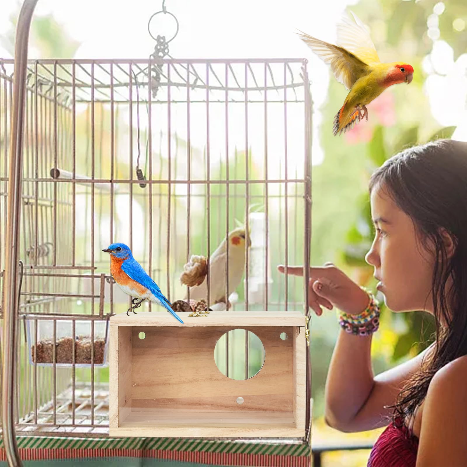 Nichoir transparent pour perruches et en bois naturel pour cage à oiseaux, inséparables et pinsons