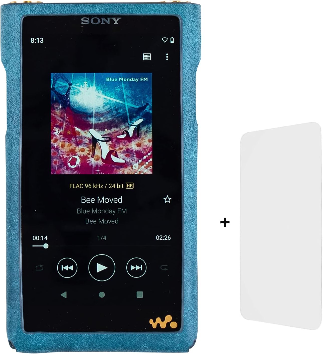 Sony Walkman Mp3 Player Genuine Leather Case CKL-NWZX700 For