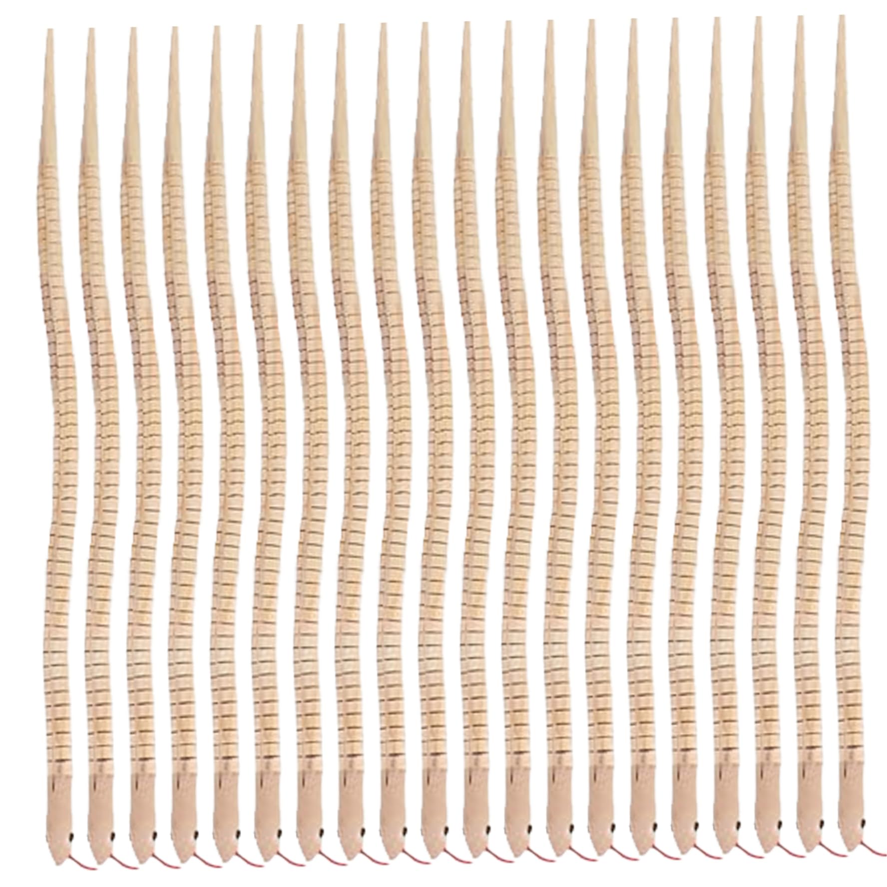 Serpent en bois flexible de 12 pouces pour activité manuelle d'anniversaire - 6