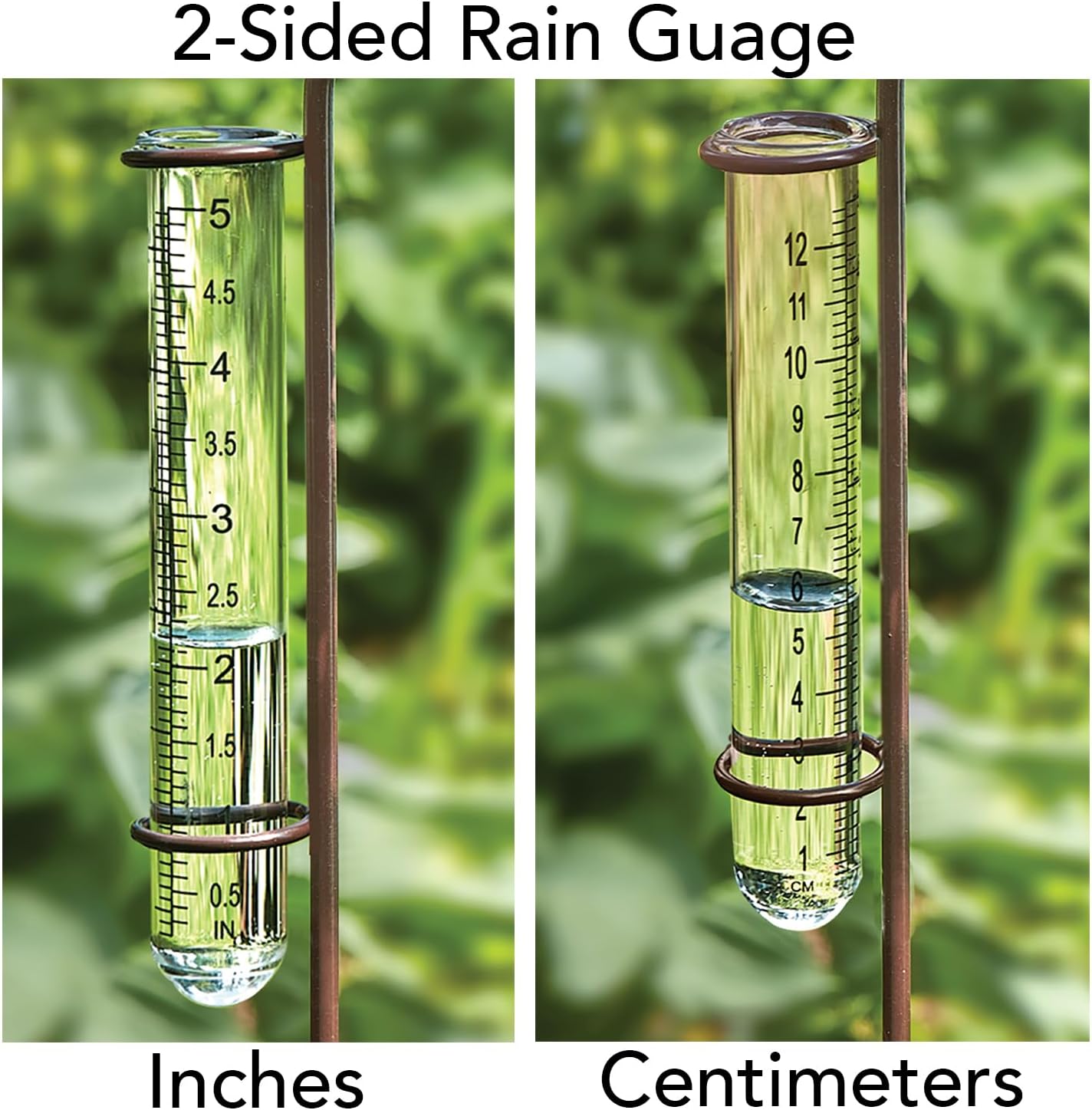 Bits and Pieces Bird Rain Gauge - 5 Inch Glass Rain Gauge with Metal Stake, Decorative Bird Yard Stake Lawn Garden Décor