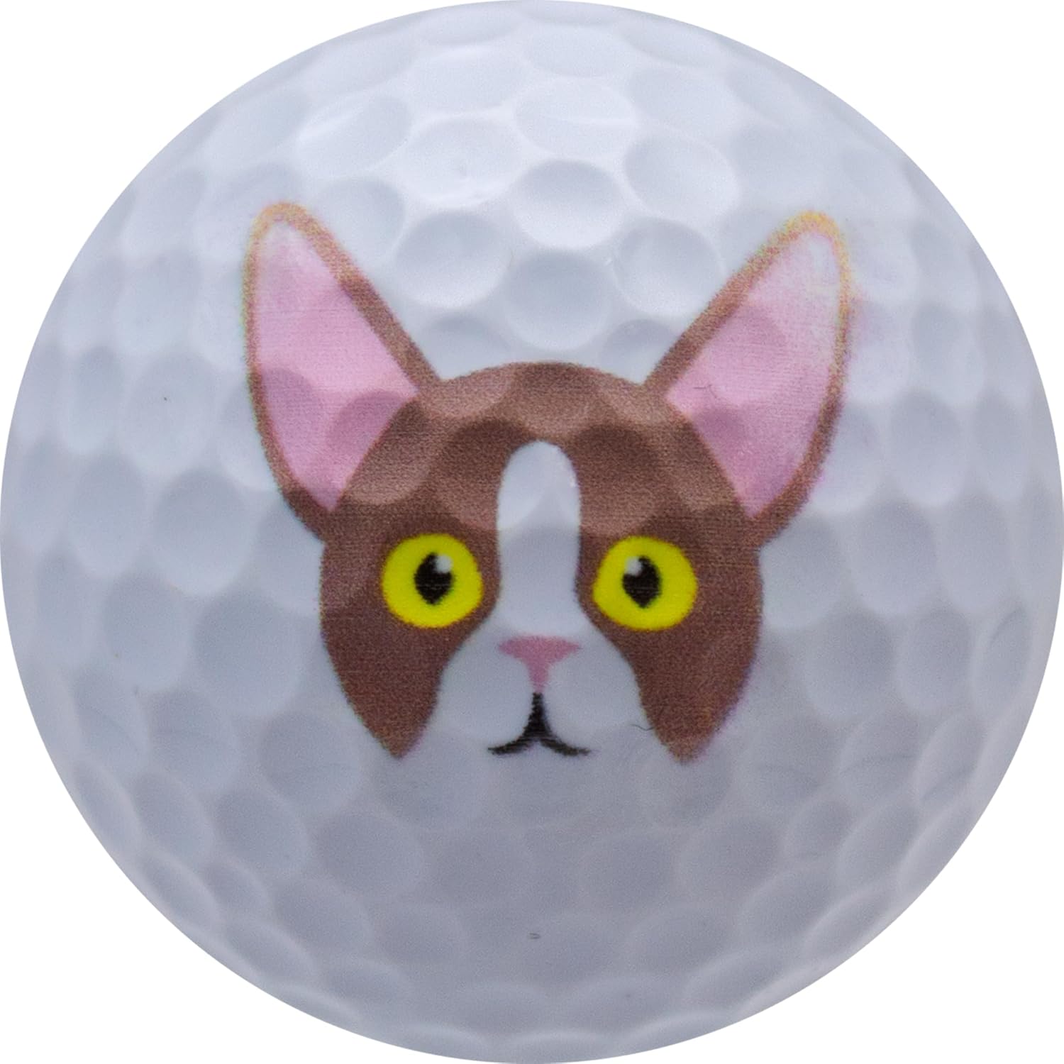 GBM Cat Lover Golf Balls – Cute Design Golf Balls for Cat Lovers, Golfers, Tournaments, League Play and Unique Gifts, 1 Dozen