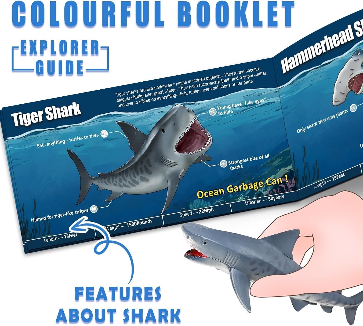 13 Pack Shark Toys Set with Booklet and Gift Box, Realistic Plastic Shark Figurines, Sea Creature Toy for Kid, Shark Party Decoration, Cake Topper, Educational Ocean Animals for Toddlers, Boys Girls