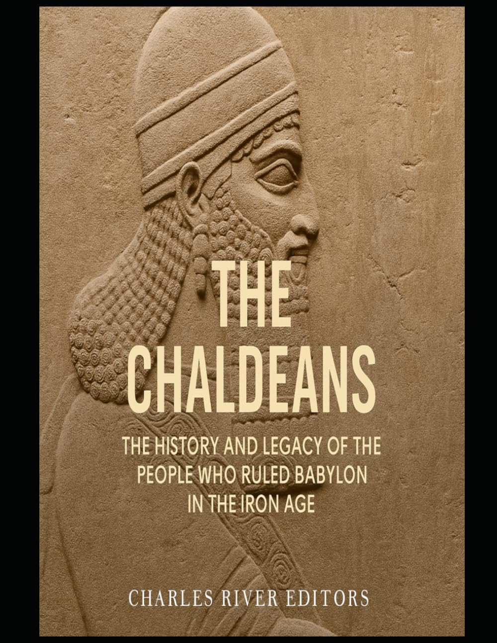 The Chaldeans: The History and Legacy of the People Who Ruled Babylon in the Iron Age