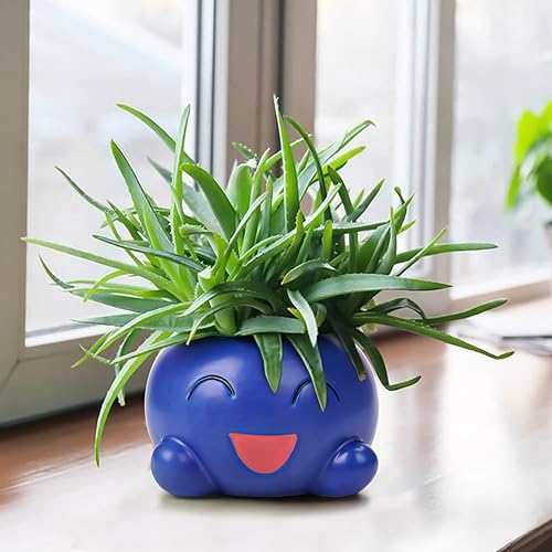 Miniatura 6 de BEMKWG Lindas macetas de cerámica divertidas macetas de suculentas maceta de interior para suculentas plantas vivas de casa macetas con agujeros de