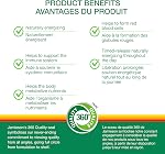 Jamieson Vitamine B12 Méthylcobalamine 1 200 mcg Comprimés, Libération Contrôlée, Action Rapide, Énergisant Naturellement, et Soutient le Métabolisme. Végétarien, Non-OGM, Sans Gluten, 80 Comptes, Fièrement Canadien