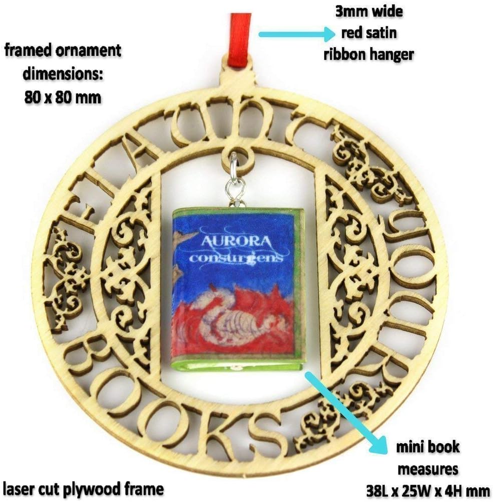 Aurora Consurgens Discovery of Witches Thomas Aquinas Clay Mini Book Framed Ornament Home Decoration