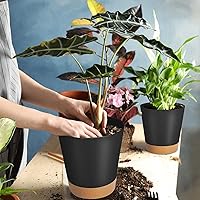 Vista 59 de GARDIFE 10/9/8 inch Plant pots, planters for Indoor Plants, self Watering Plant Pot, Flower pots, Black