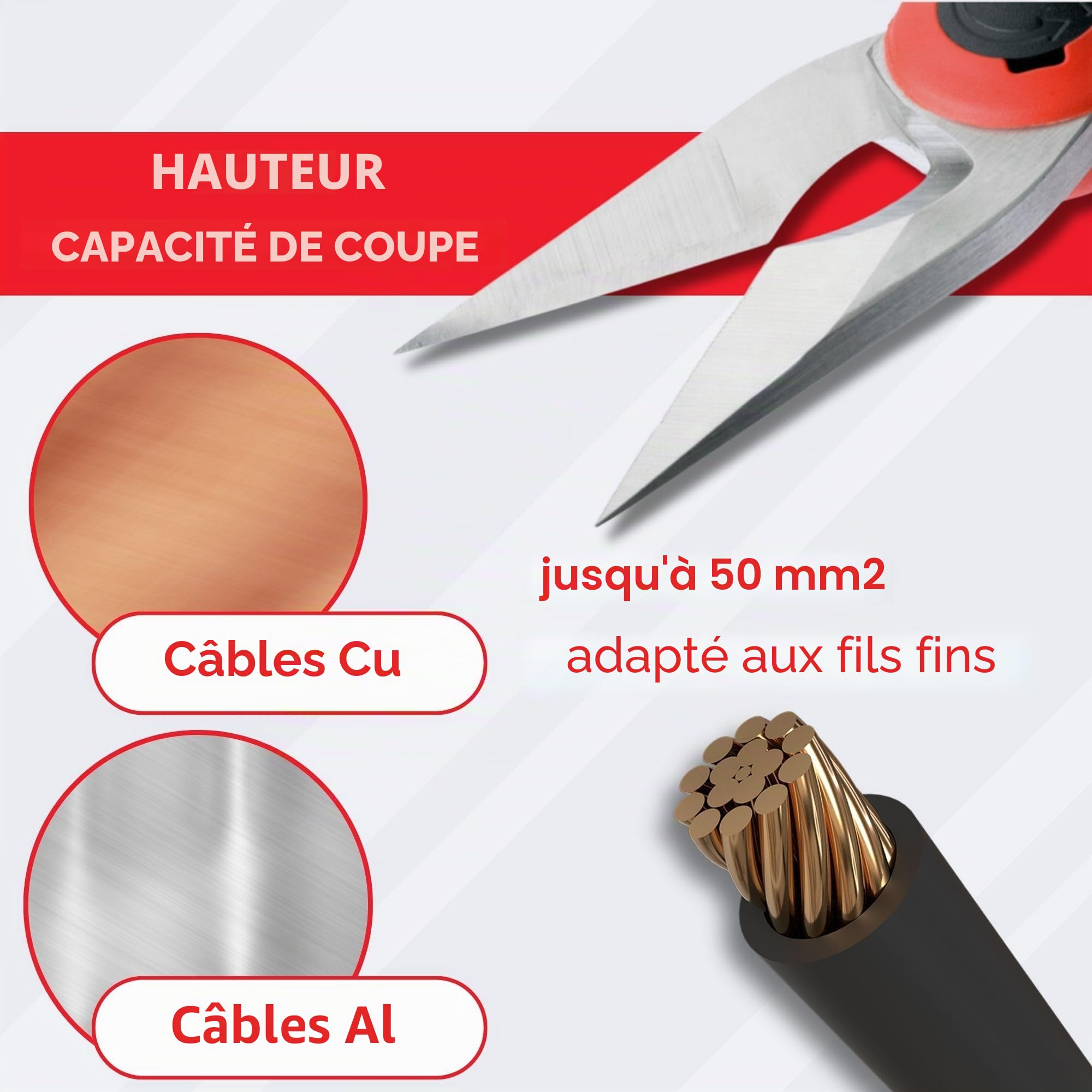 Intercable 16020-F1 Ciseaux Coupe-Câbles en Acier Inox avec Étui | Outil 3-en-1 pour couper, dénuder et sertir. Manche antichoc ergonomique réduisant l'effort de 50%. Longue durée de vie.
