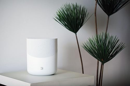 Miniatura 5 de Bluesound Pulse M - Altavoz inalámbrico de transmisión de música omnihíbrido con Bluetooth, color blanco, compatible con Alexa y Siri