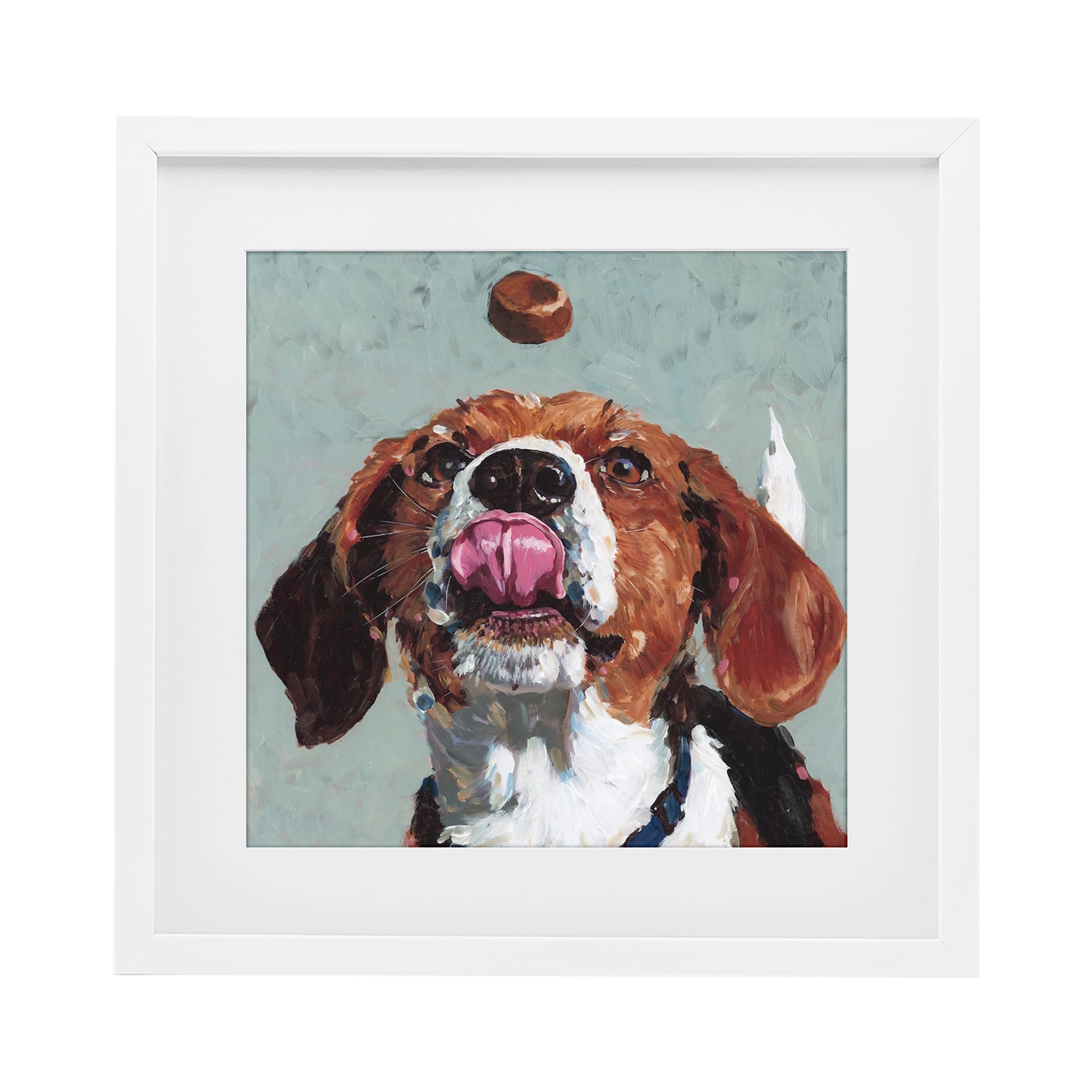 Playful Beagle Treat Portrait, 16 x 16 Inch Framed Print Under Glass