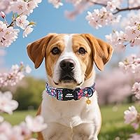 Vista 23 de Unique Style Paws - Collar rosa con hebilla de metal, duradero y lindo para perros pequeños a grandes