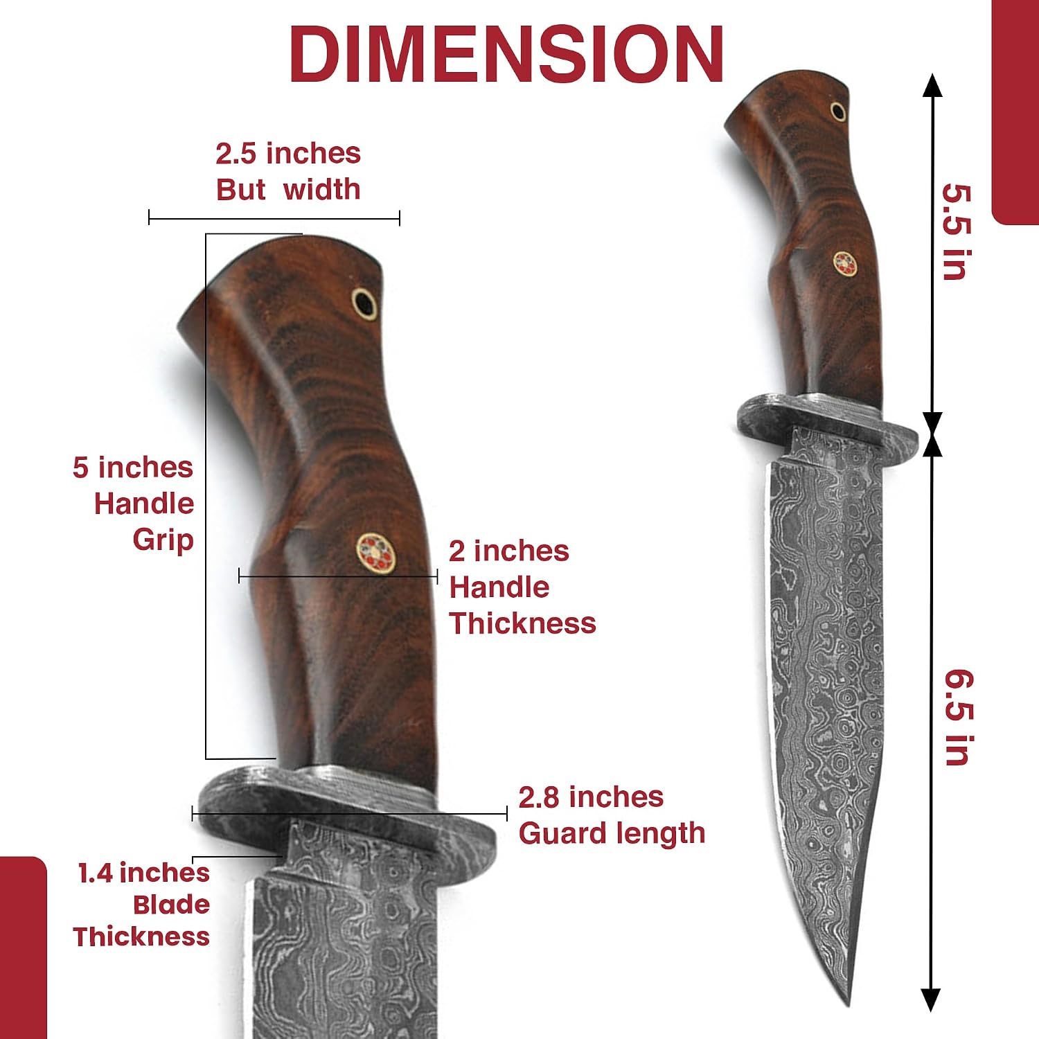 Armory Replicas Damascus Steel East Indian Rosewood Handle Fixed Blade Hunting Outdoor Knife