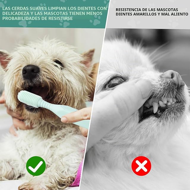Foto 6 de 7 de 6 Pcs Cepillo Dientes Perro, Juego de Cepillos de Dientes de Doble y Dedo Cabezal para Perros