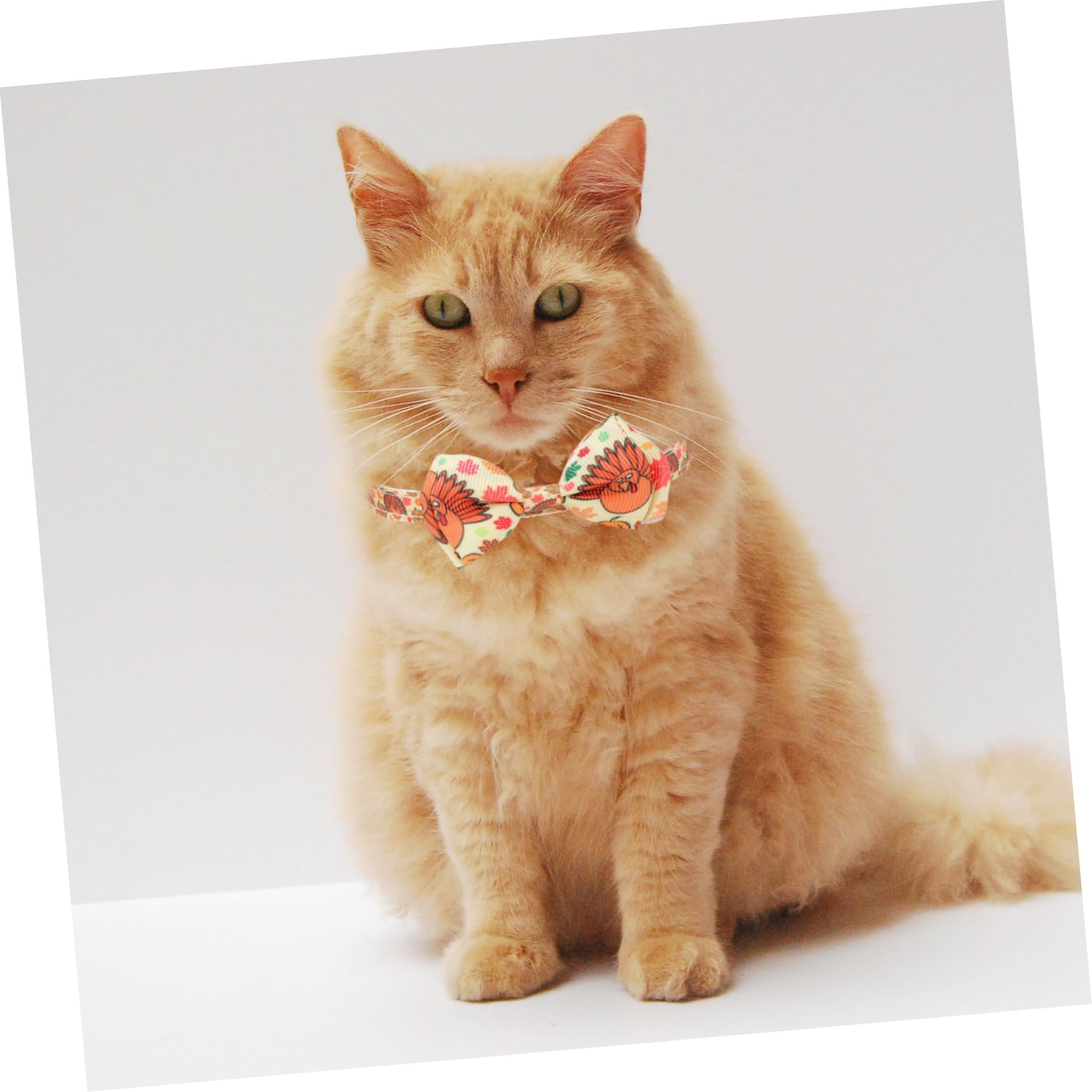 Didiseaon 10pezzi Collare Decorativo Per Animali Domestici Con Fiocco Per Cani e Gatti Per Festività e Compleanni Collana Chic Per Cani e Gatti Accessori Per Animali Domestici